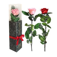 Rosa Preservada, Regalo de San Valentín, Rosa Eterna, Floristería Online, Rosas Naturales, Floristerías en Bilbao, Floristería Hiedra