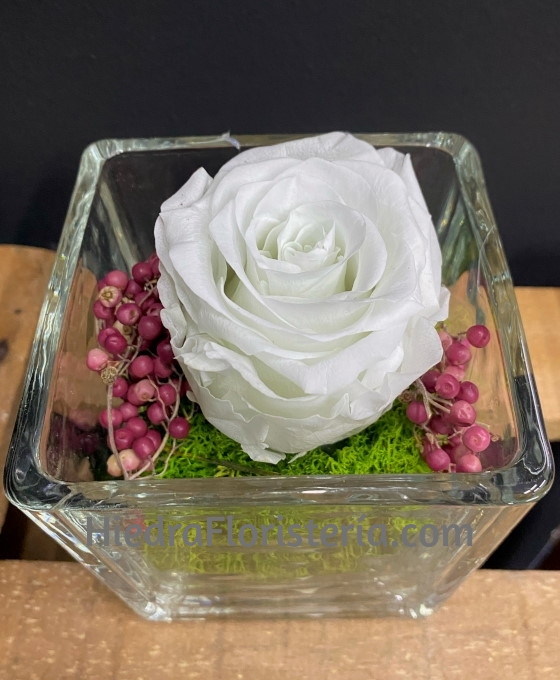 Rosa Preservada en Cristal | Rosa Eterna | Rosas Naturales para Regalar