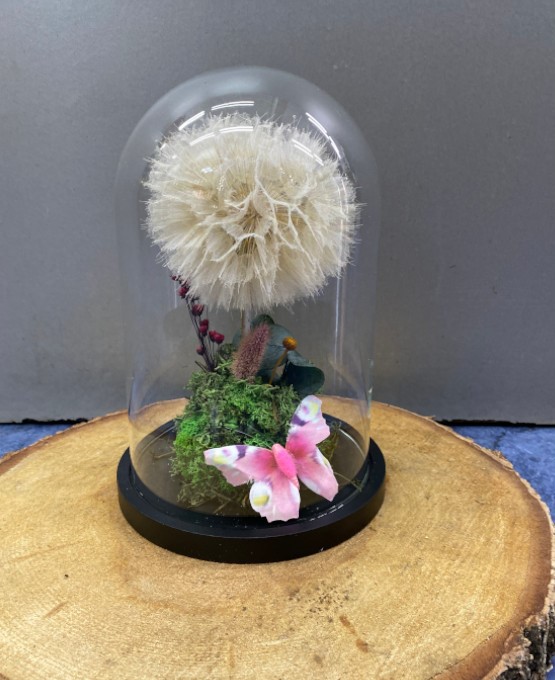 Diente de León Preservado en Cúpula